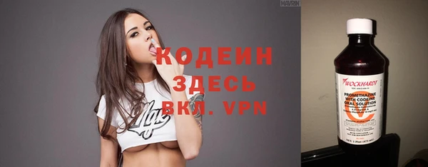 стафф Верхний Тагил