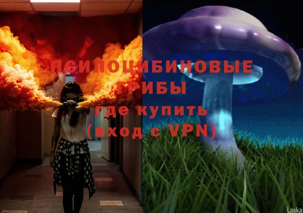 стафф Верхний Тагил